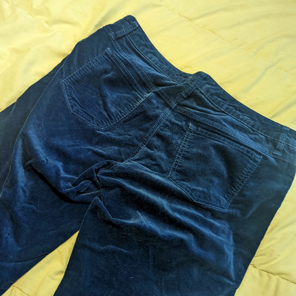 GAP blue velvet pants